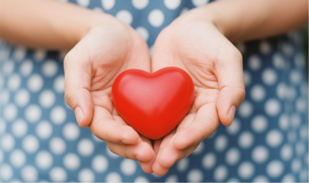 光影润黔山・公益护童心 健效达助力贵州学子健康成长(图3)